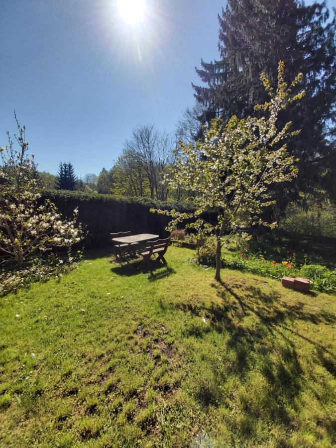 Alte Forsterei Leilighet Altenbrak Eksteriør bilde